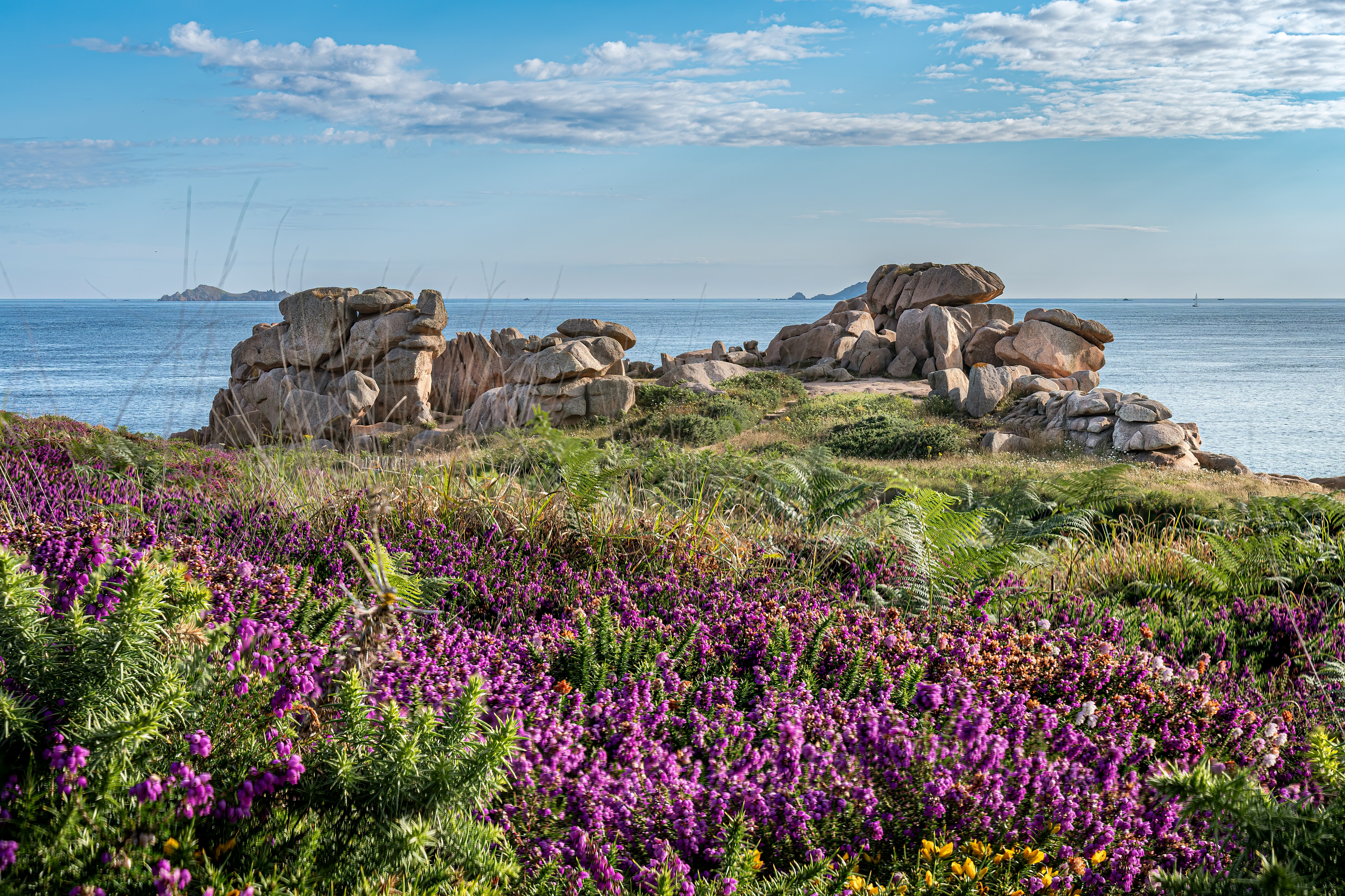 Photo de Côtes-d'Armor (22) (Le Sixieme Reve)