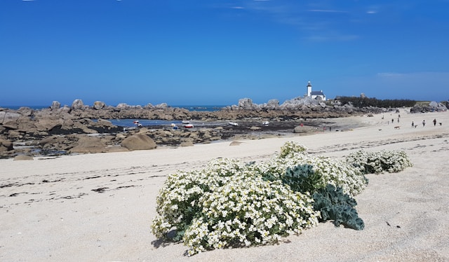 Photo de Finistère (29) (Muriel Gargre)